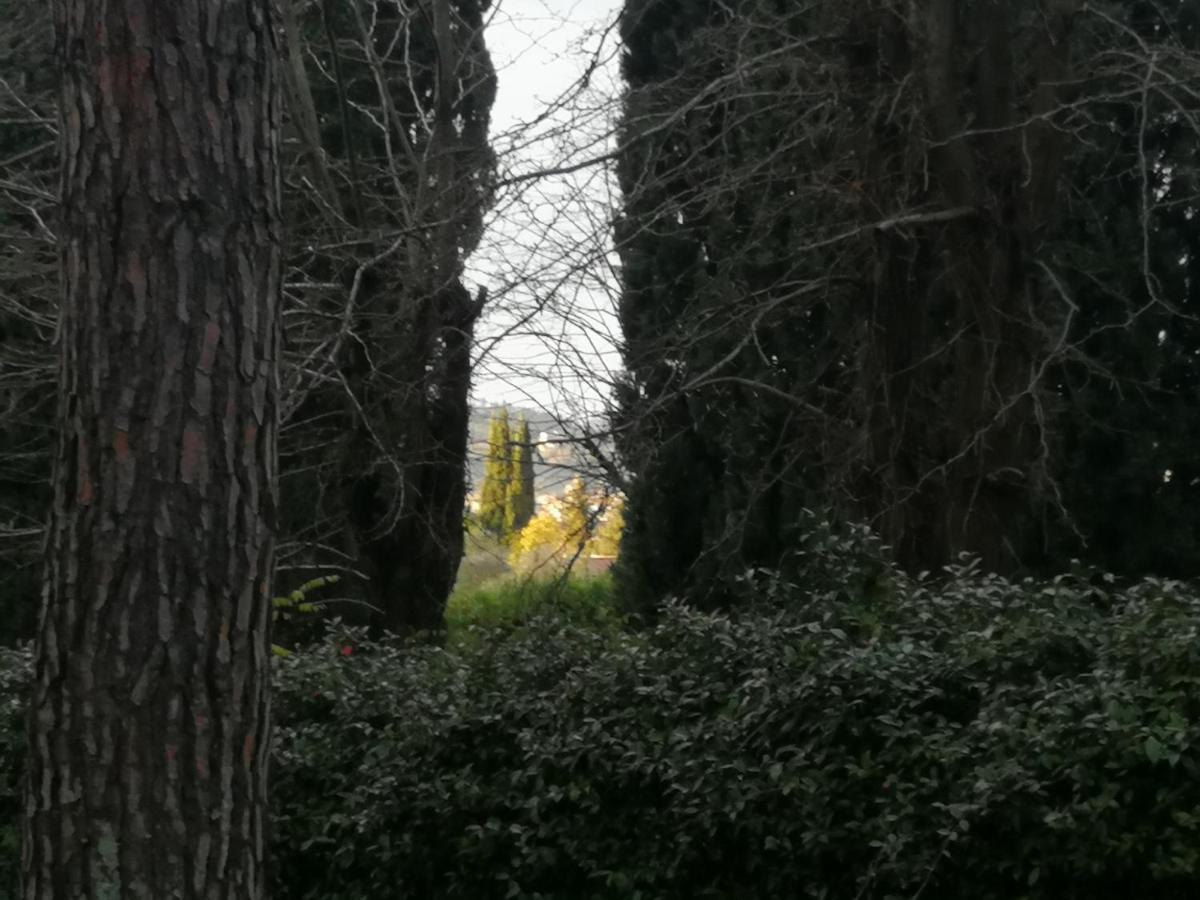 La Casa Di Duccio Con Parcheggio Gratuito Lägenhet Florens Exteriör bild